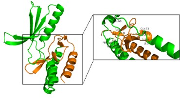 figure 1.jpg
