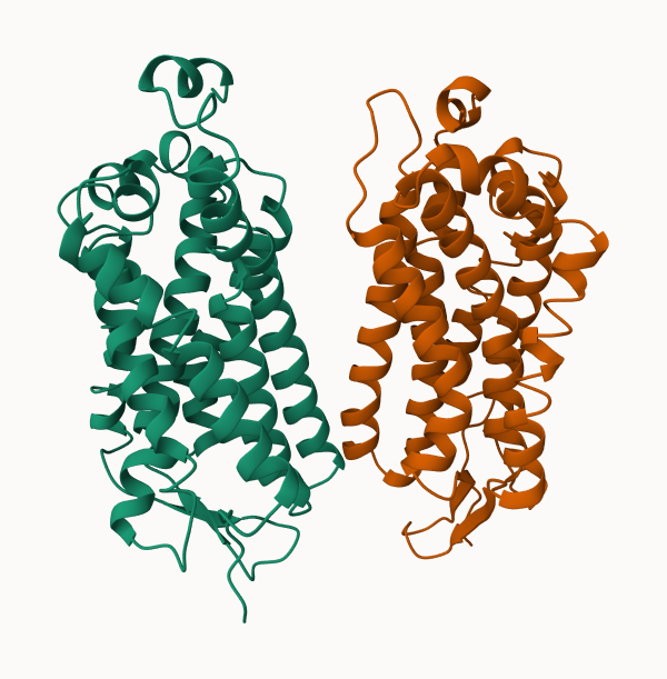 ACTIVE_7TM_HUMAN.PDB.png