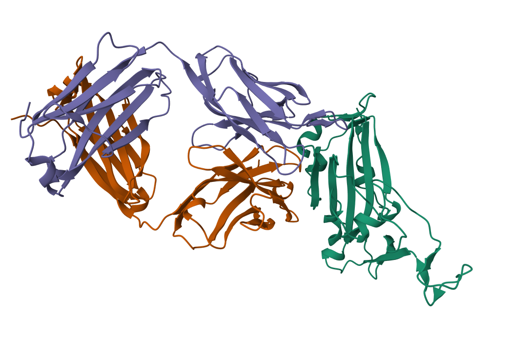Boltzgen_rank_1_structure (1).png